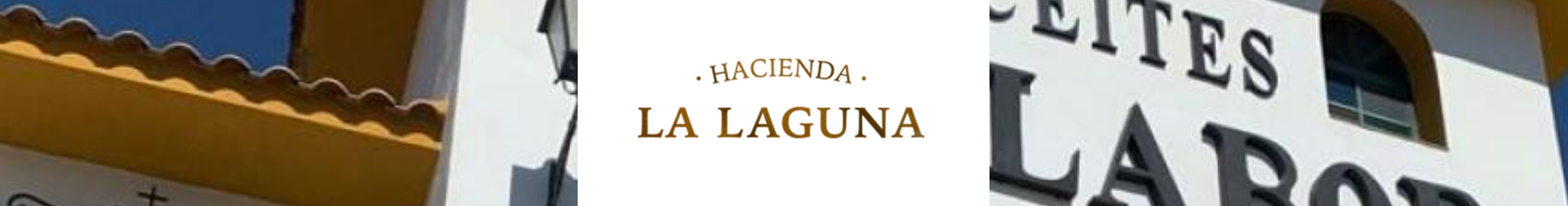 banner_hacienda_la_laguna