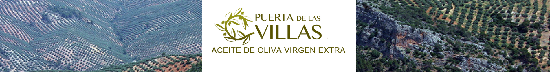 banner_puerta_de_las_villas