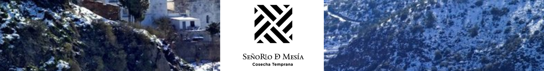 banner_señorio_de_mesia